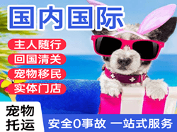 太原机场快递国际宠物托运 【国